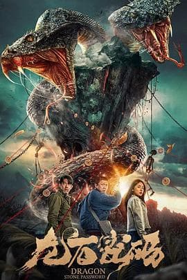龙石密码 - 剧情片 (2024) 海报