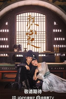 颜心记 - 国产剧 (2024) 海报