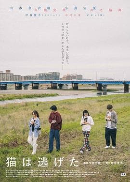 猫猫逃走了 - 剧情片 (2022) 海报