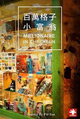 MillionaireinCheckfun - 纪录片 (2011) 海报