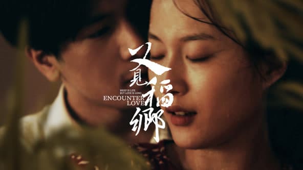 又见稻乡 - 爱情片 (2024) 海报