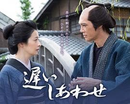 迟来的幸福 - 剧情片 (2015) 海报