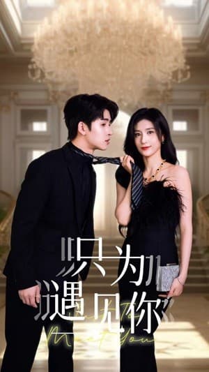 只为遇见短剧 - 女频恋爱 (2024) 海报