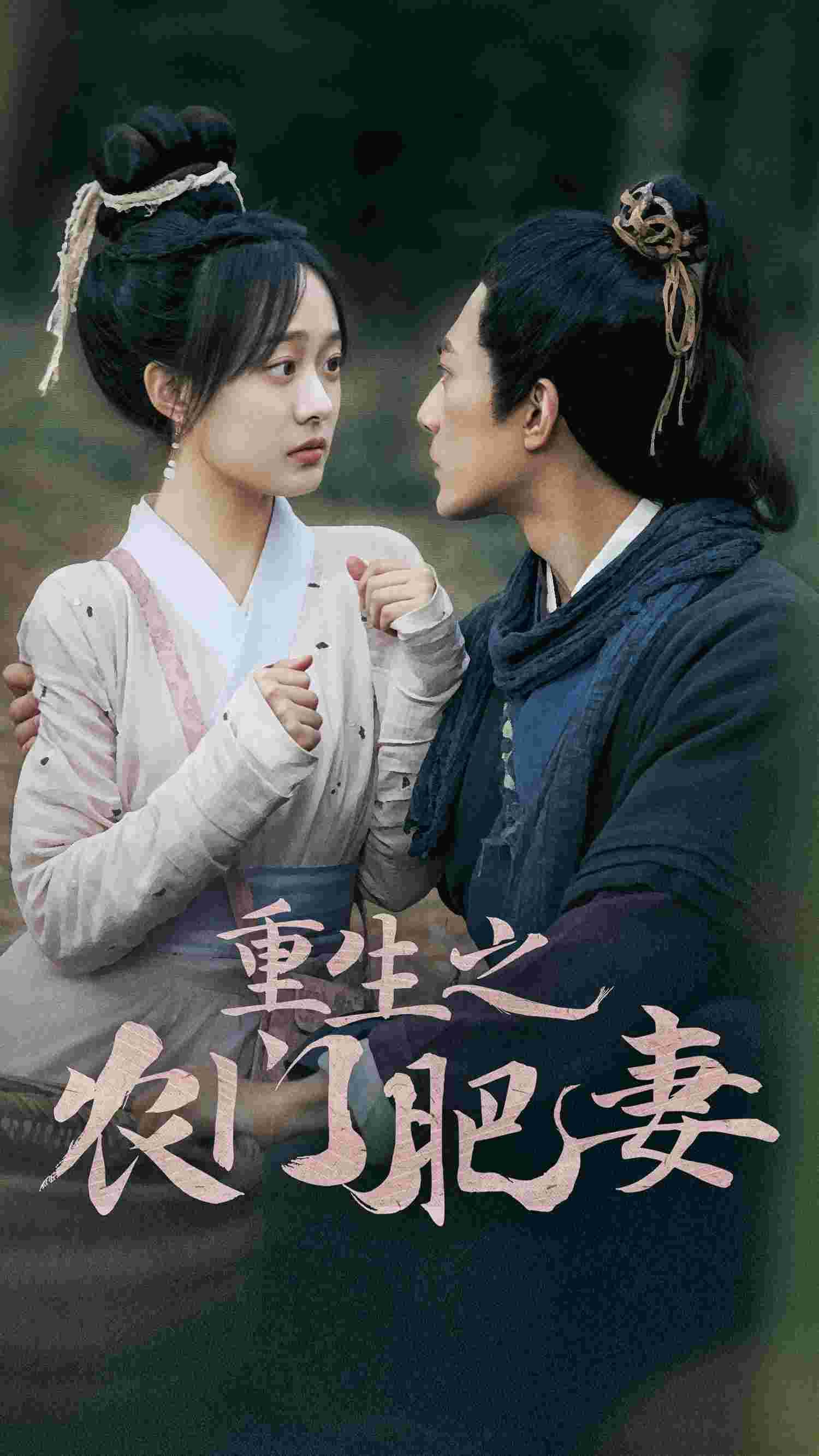 重生之农门肥妻 - 年代穿越 (2024) 海报