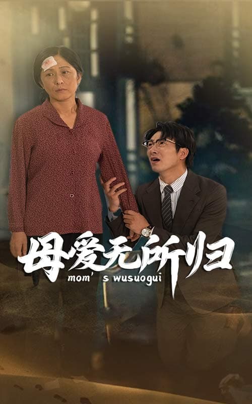 母爱无所归 - 现代都市 (2024) 海报