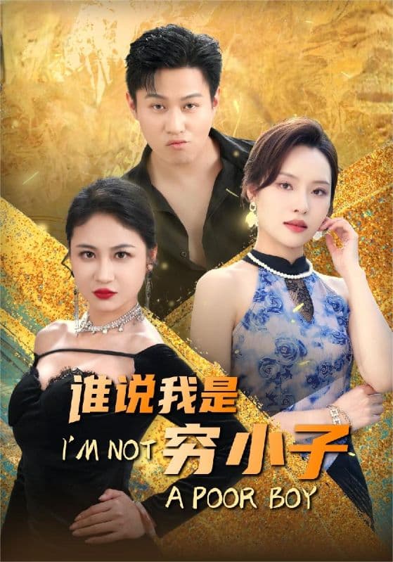 谁说我是穷小子 - 反转爽剧 (2024) 海报