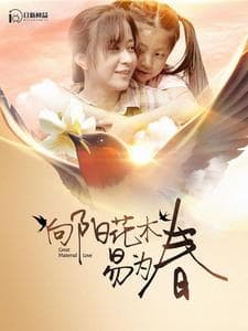 向阳花木易为春 - 现代都市 (2024) 海报