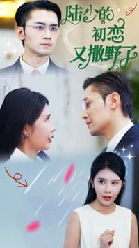 陆少的初恋又撒野了 - 女频恋爱 (2024) 海报