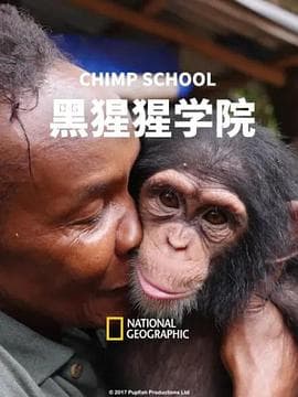 黑猩猩学院 - 纪录片 (2016) 海报