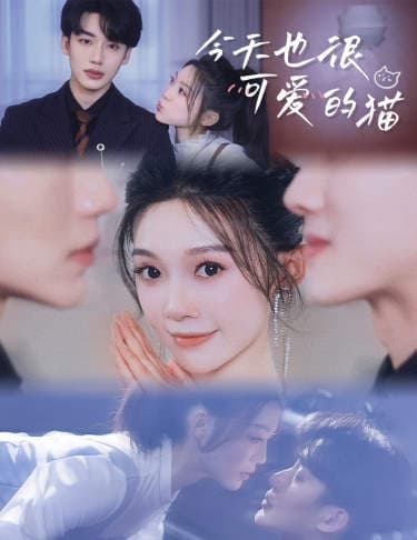 今天也很可爱的猫 - 女频恋爱 (2024) 海报