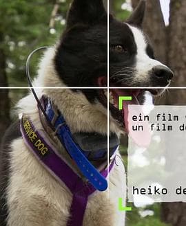 内华达搜熊犬 - 纪录片 (2016) 海报