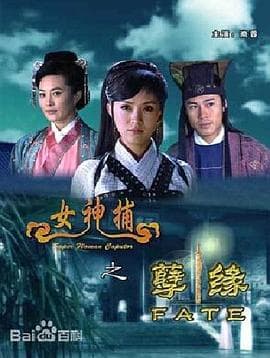 女神捕之孽缘 - 动作片 (2007) 海报