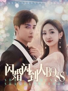 闪婚闪到大BOOS - 女频恋爱 (2024) 海报