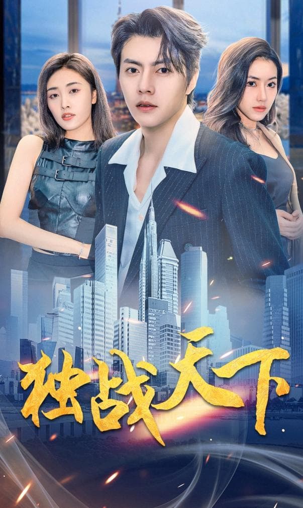 独战天下 - 反转爽剧 (2024) 海报