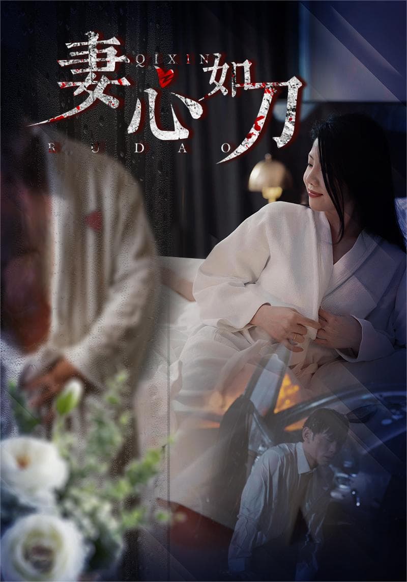 妻心如刀 - 现代都市 (2024) 海报