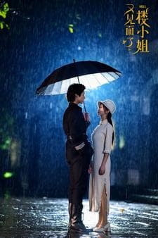 又见面了楼小姐 - 女频恋爱 (2024) 海报