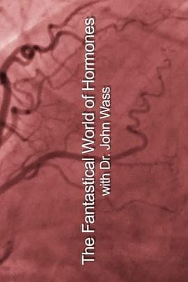 荷尔蒙的神奇世界 - 剧情片 (2014) 海报