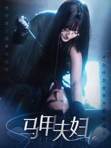 马甲夫妇 - 女频恋爱 (2024) 海报