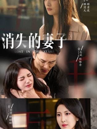 新版：消失的妻子 - 现代都市 (2024) 海报