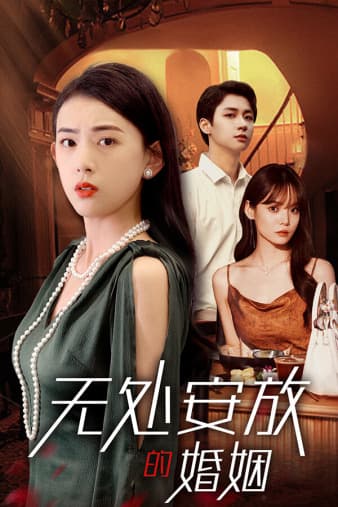 无处安放的婚姻 - 现代都市 (2024) 海报