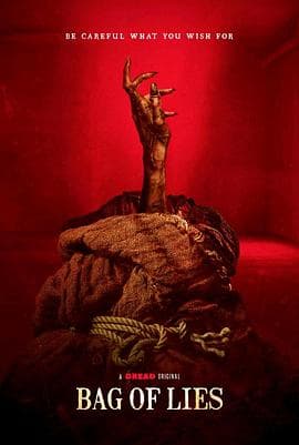 魔袋谎言【影视解说】 - 影视解说 (2024) 海报