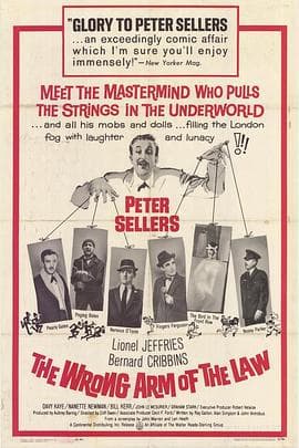 做贼抓贼 - 喜剧片 (1963) 海报