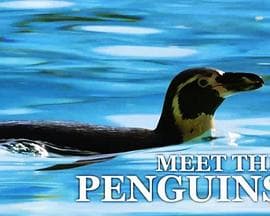 遇见企鹅 - 纪录片 (2016) 海报