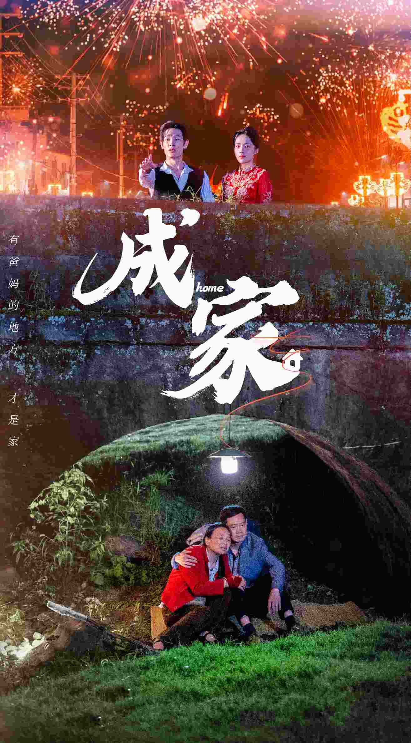 成家短剧版 - 现代都市 (2024) 海报