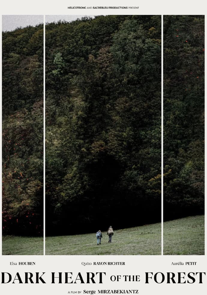 森林的黑暗心脏 - 剧情片 (2024) 海报