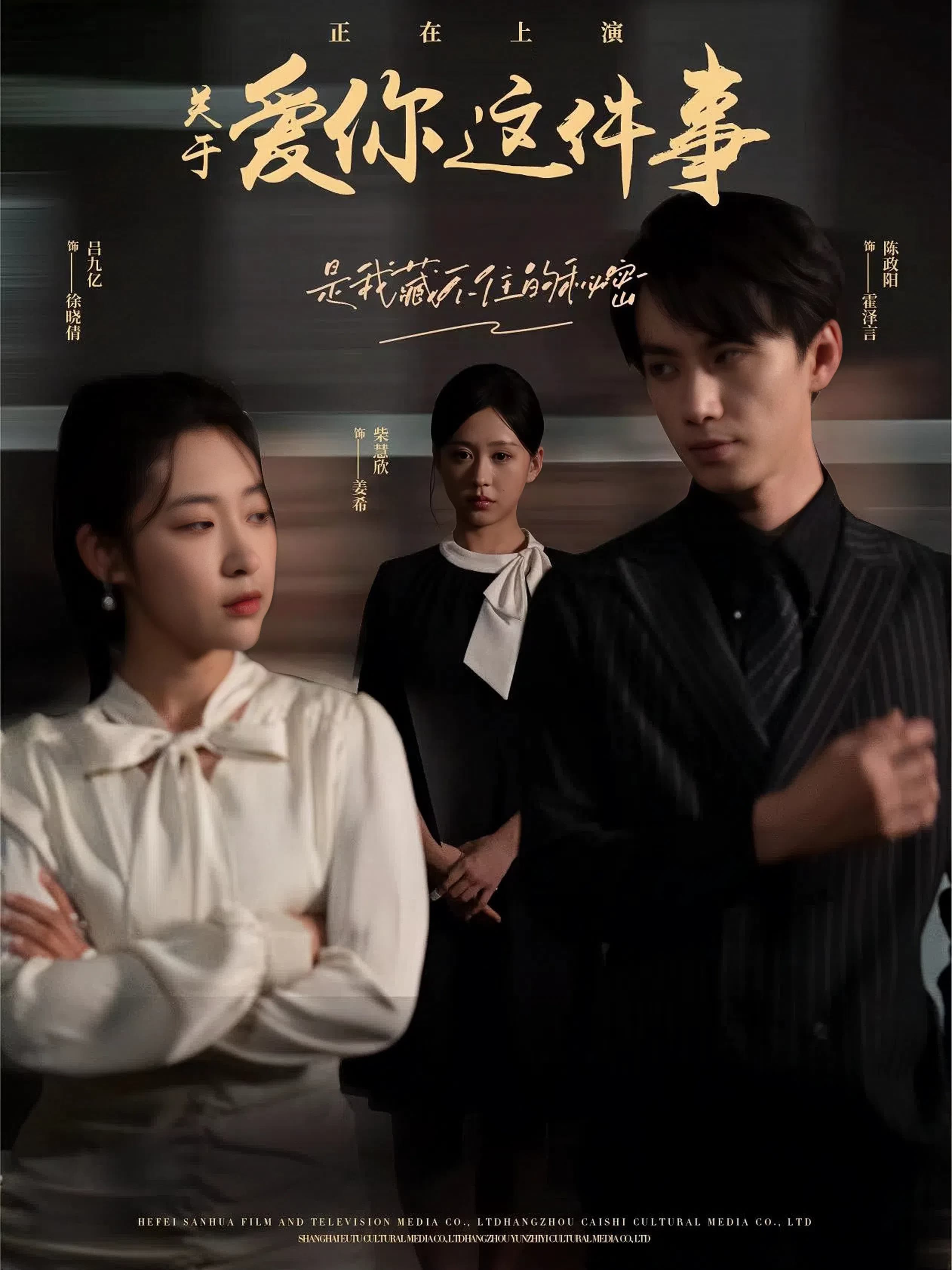 关于爱你这件事 - 女频恋爱 (2024) 海报