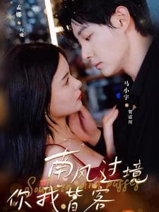 南风国境你我皆客 - 现代都市 (2024) 海报