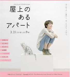 屋顶的公寓 - 剧情片 (2011) 海报