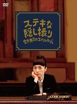 了不起的窃照：完美的接待员 - 剧情片 (2011) 海报