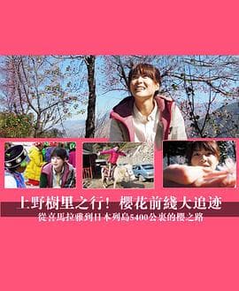 上野树里之行！樱花前线大追迹～从喜马拉雅到日本列岛5400公里的樱之路~ - 纪录片 (2012) 海报