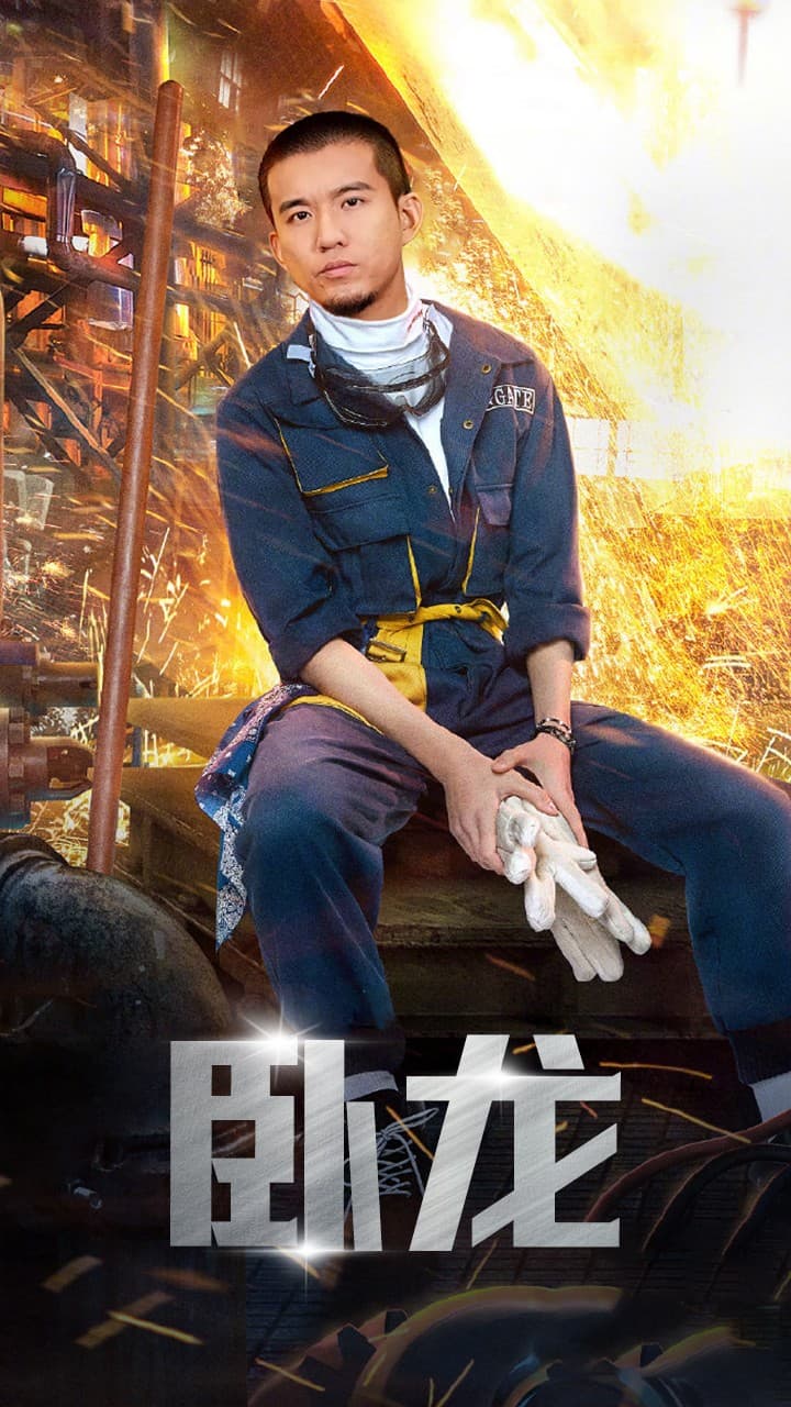 卧龙 - 反转爽剧 (2024) 海报