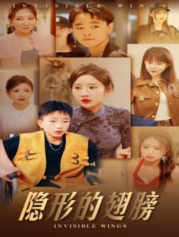 隐形的翅膀短剧 - 现代都市 (2024) 海报