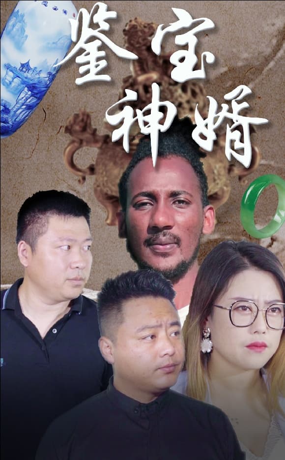 鉴宝神婿 - 现代都市 (2024) 海报