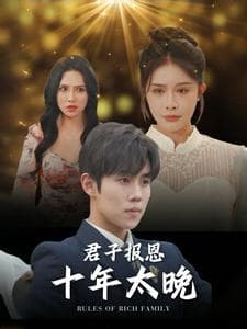 君子报恩十年太晚 - 反转爽剧 (2024) 海报