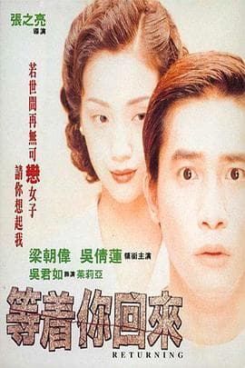 等着你回来【影视解说】 - 影视解说 (1994) 海报