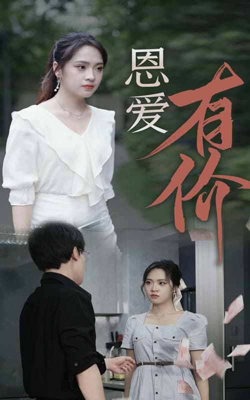 恩爱有价 - 现代都市 (2024) 海报