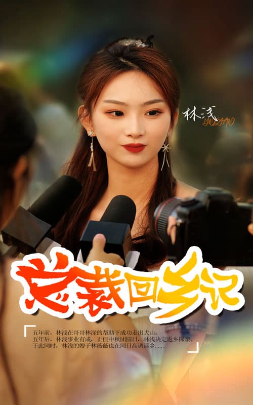 总裁回乡记 - 反转爽剧 (2024) 海报