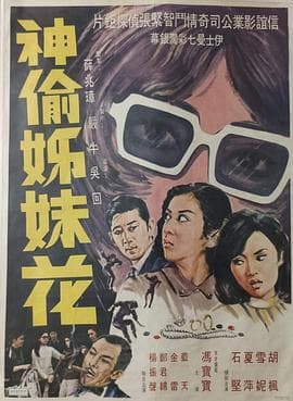 神偷姊妹花粤语 - 剧情片 (1969) 海报