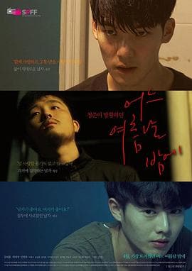 一个夏夜 - 剧情片 (2017) 海报