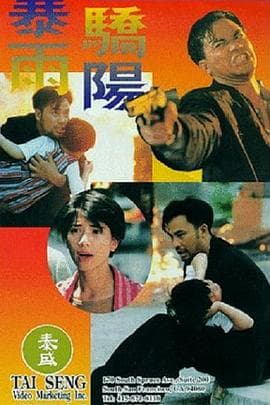 暴雨骄阳 - 动作片 (1994) 海报