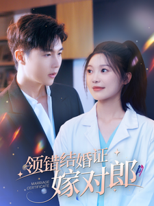 领错结婚证嫁对郎 - 女频恋爱 (2024) 海报