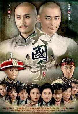 大国手之才子佳人 - 剧情片 (2010) 海报