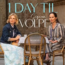 狐狸女士第二季 - 欧美剧 (2024) 海报