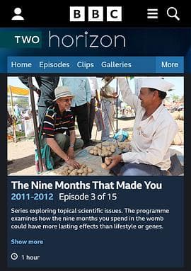 BBC 地平线系列:怀胎九月 - 纪录片 (2011) 海报