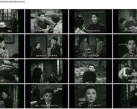 白头情侣粤语 - 剧情片 (1966) 海报