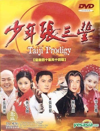 少年张三丰 - 国产剧 (2001) 海报